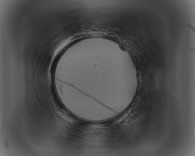 X0000097480246200803201515