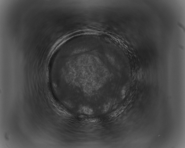 X0000097480247200803201515