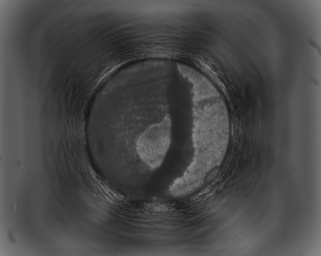 X0000097480249200803201515