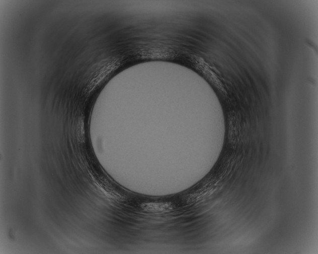 X0000097480251200803201515