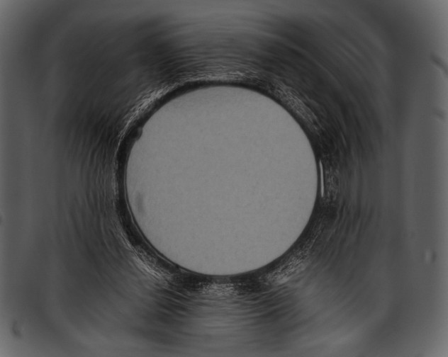 X0000097480252200803201515