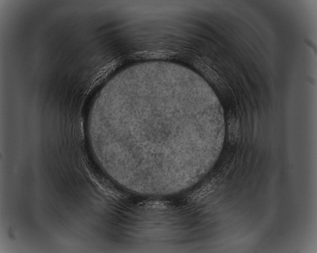 X0000097480254200803201515