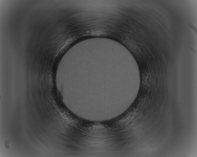 X0000097480256200803201515