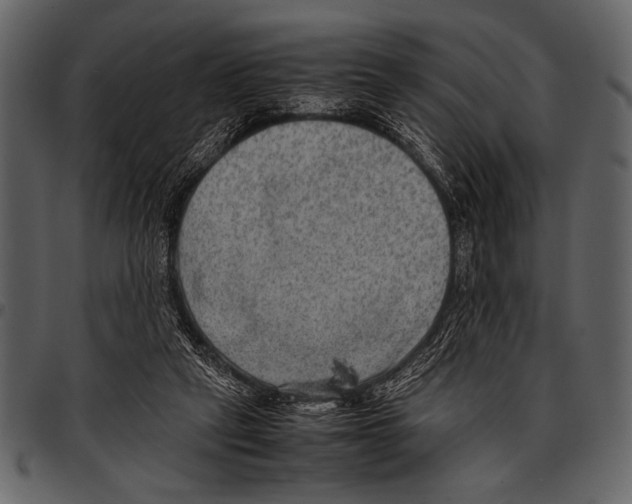 X0000097480257200803201515