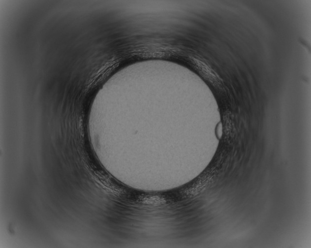 X0000097480258200803201515