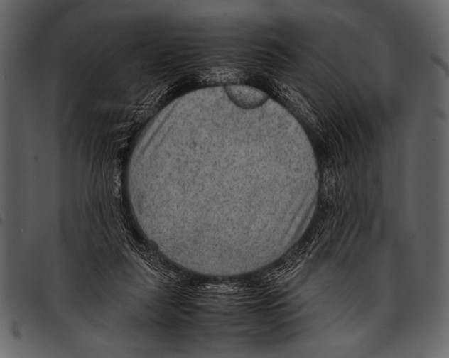 X0000097480259200803201515