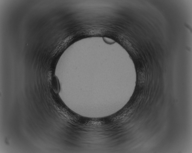 X0000097480260200803201515