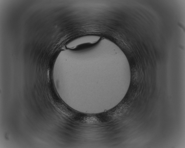 X0000097480262200803201515