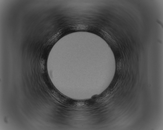 X0000097480264200803201515