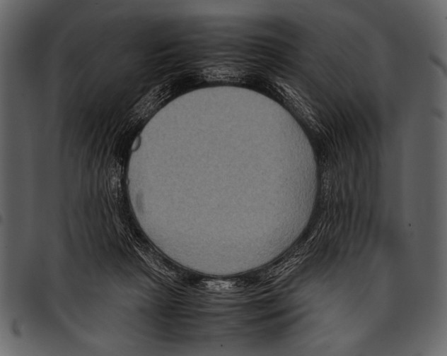 X0000097480265200803201515