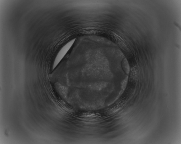 X0000097480267200803201515