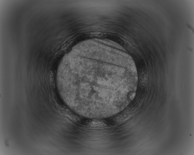 X0000097480270200803201515