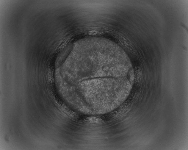 X0000097480272200803201515