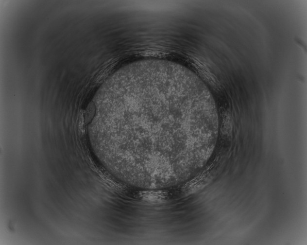 X0000097480273200803201515