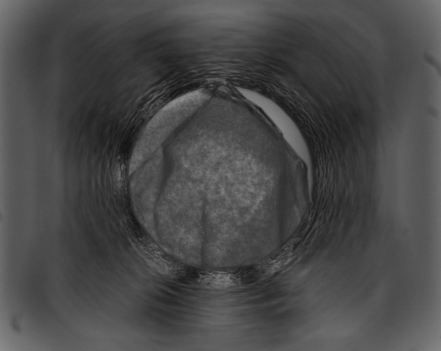 X0000097480276200803201516