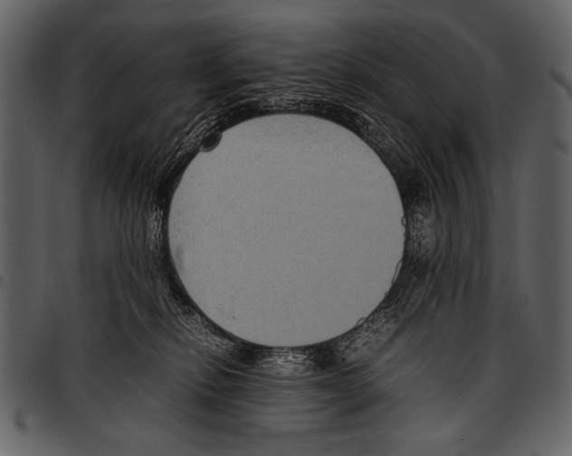 X0000097480278200803201516