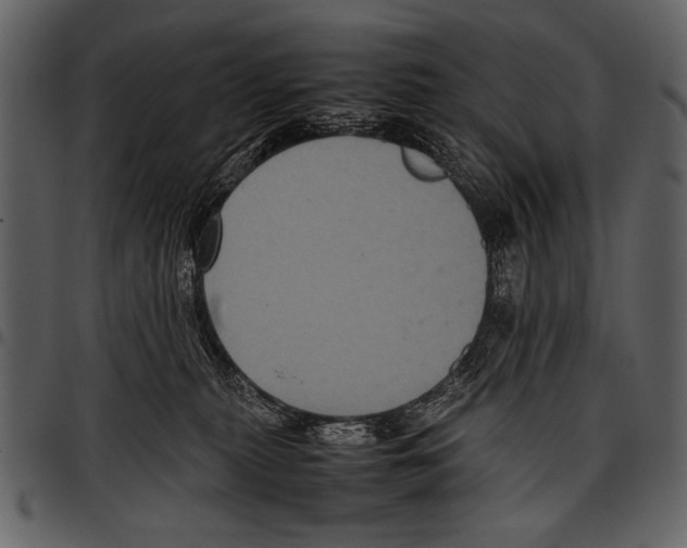 X0000097480279200803201516