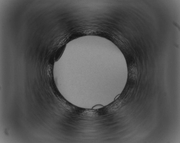 X0000097480280200803201516