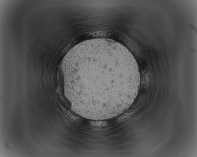 X0000097480281200803201516