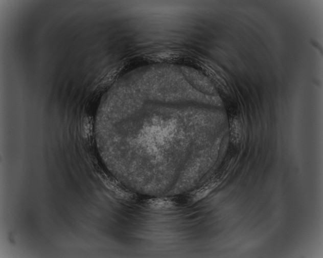 X0000097480284200803201516