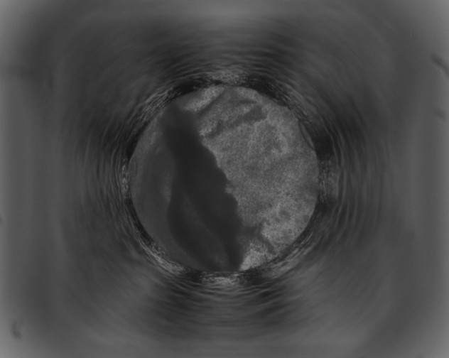 X0000097480285200803201516