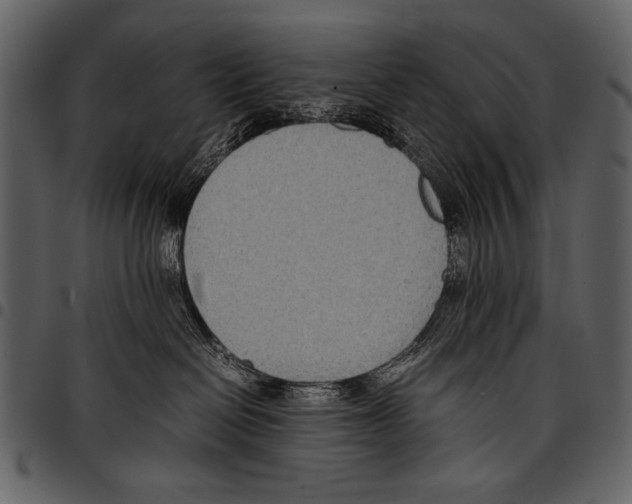 X0000097480286200803201516