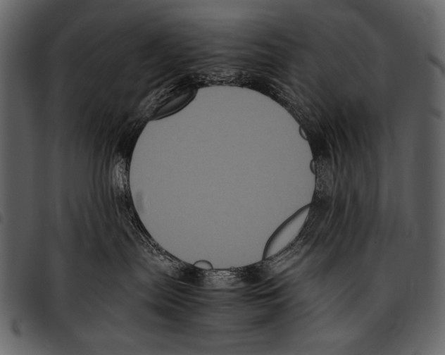 X0000097480287200803201516