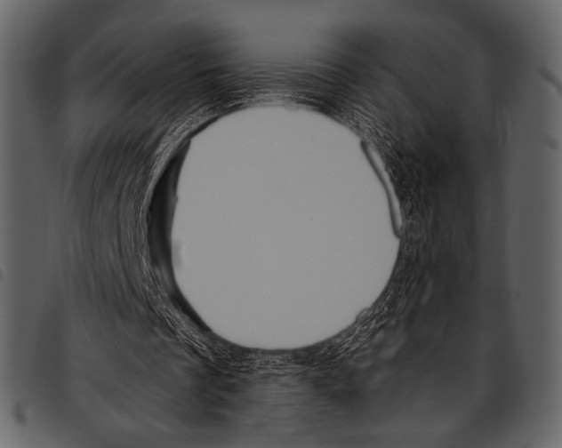 X0000097480289200803201515