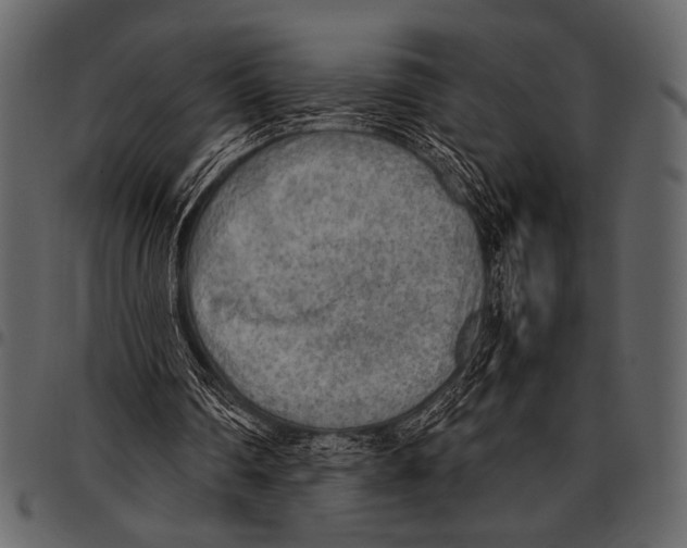 X0000097480290200803201515