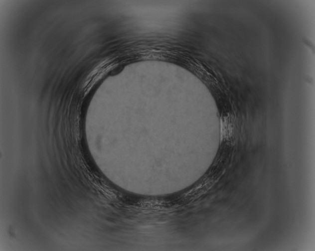 X0000097480291200803201515