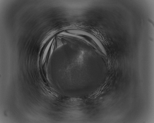 X0000097480292200803201515