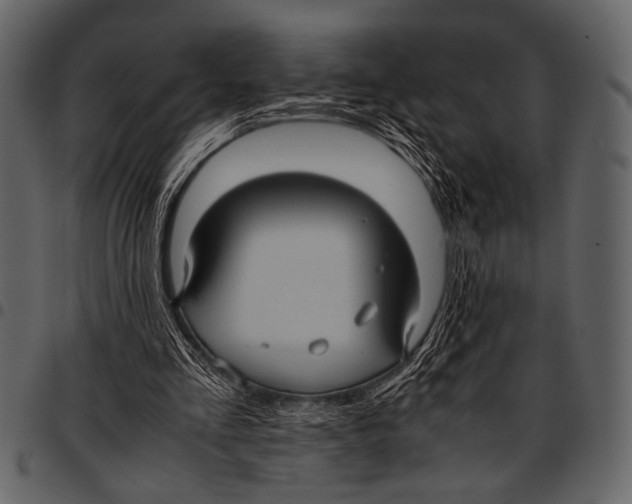 X0000097480293200803201515