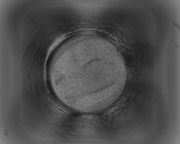 X0000097480294200803201515