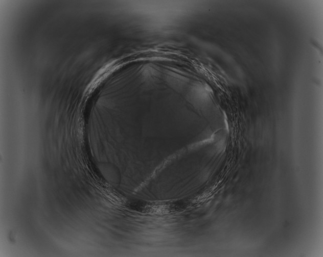 X0000097480295200803201515