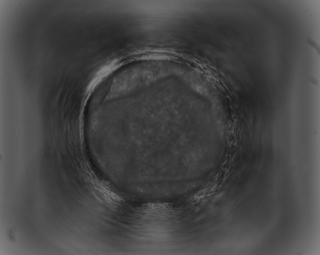 X0000097480296200803201515