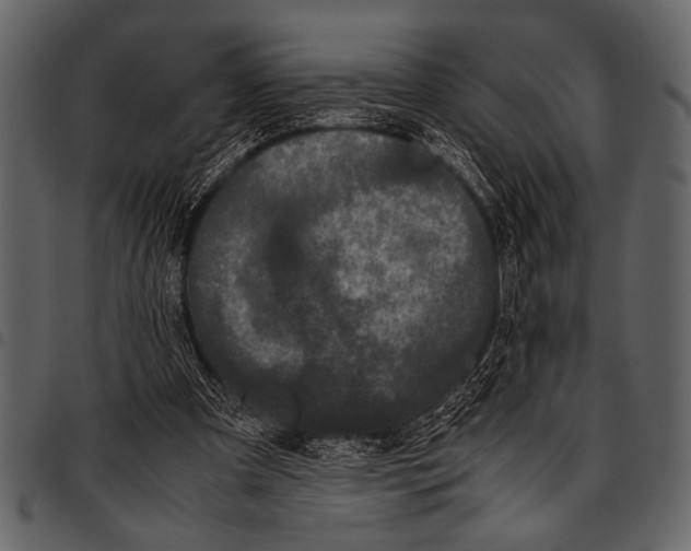 X0000097480297200803201515