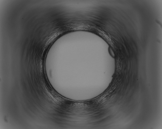 X0000097480298200803201515