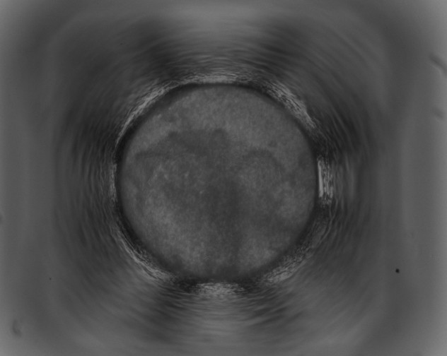 X0000097480300200803201515