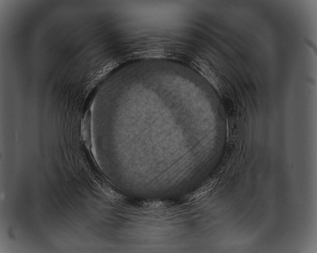 X0000097480301200803201515