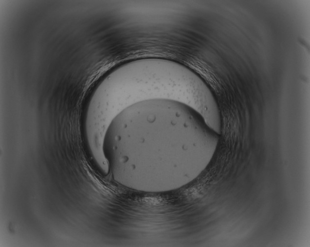 X0000097480302200803201515