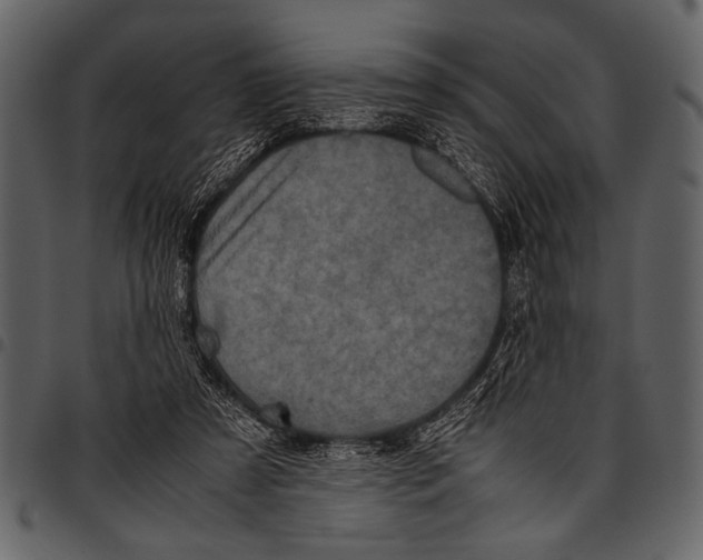 X0000097480305200803201515