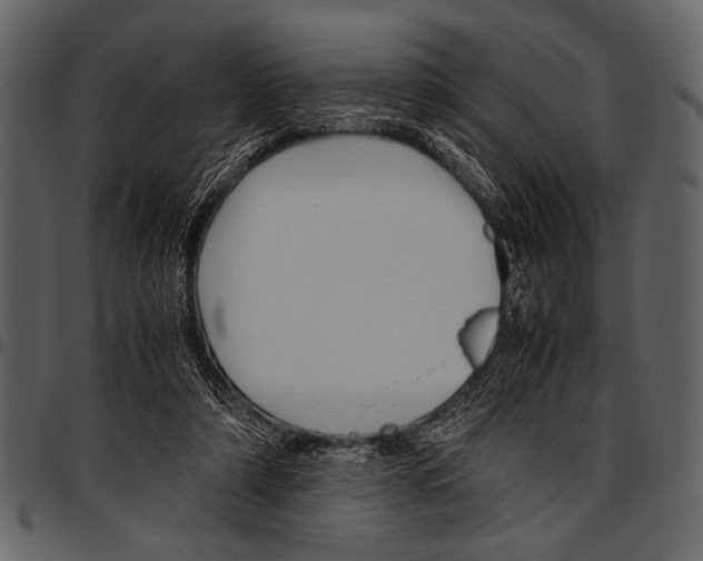 X0000097480306200803201515