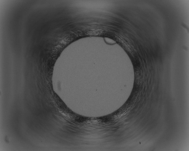 X0000097480307200803201515