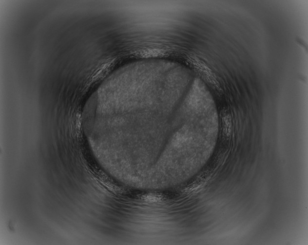 X0000097480308200803201515