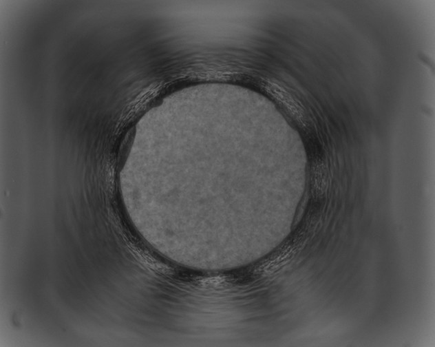 X0000097480309200803201515