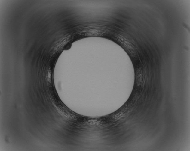 X0000097480310200803201515