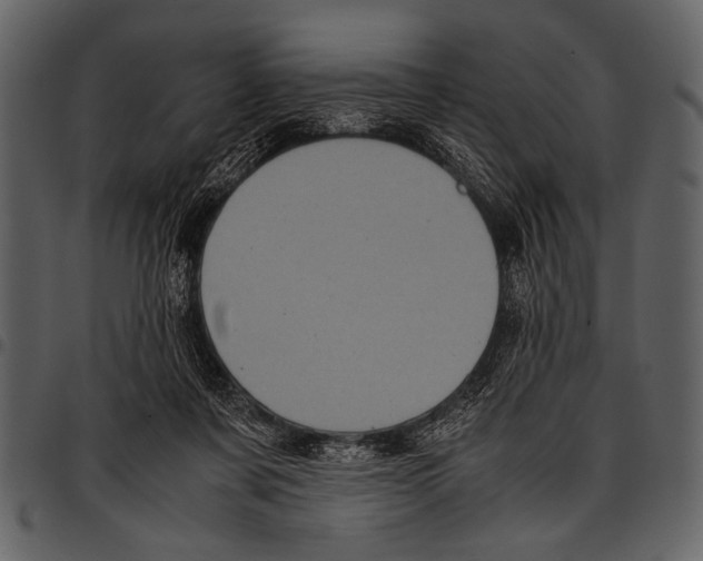 X0000097480311200803201515