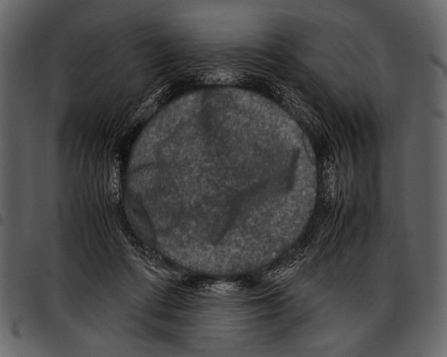 X0000097480312200803201515