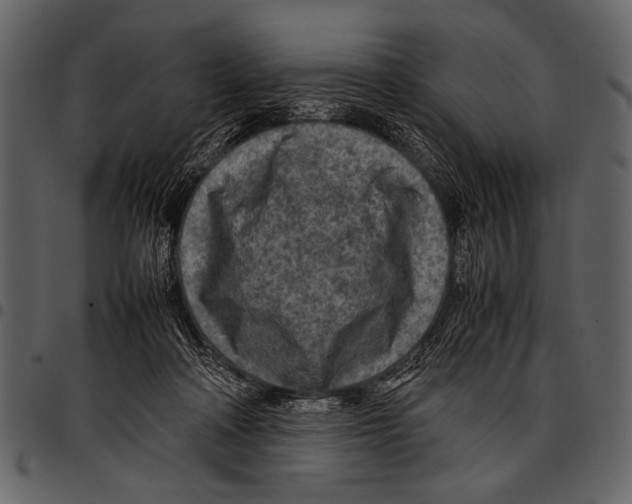 X0000097480314200803201515