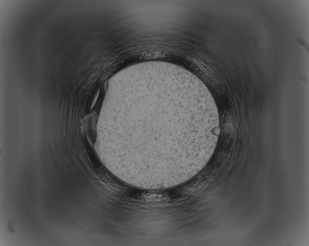 X0000097480315200803201515